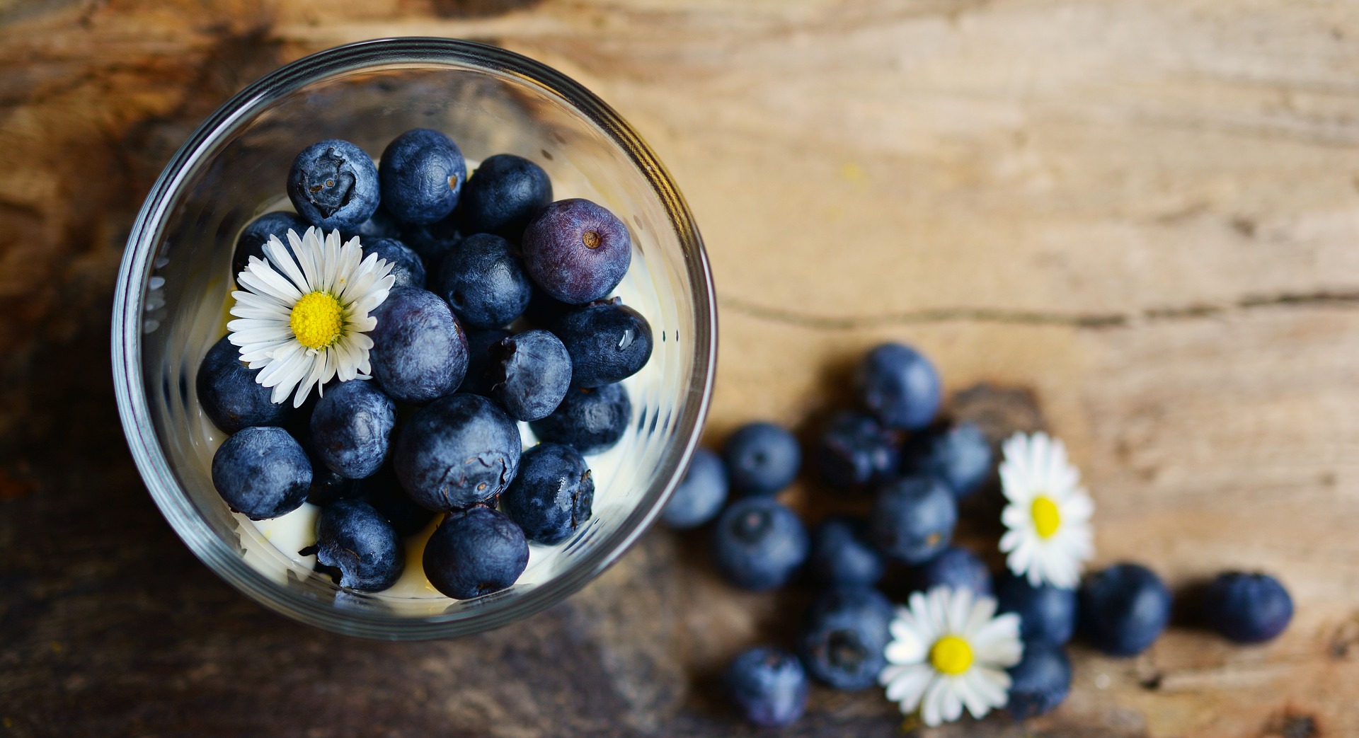 blåbær i en skål - at spise ayurvedisk blogindlæg