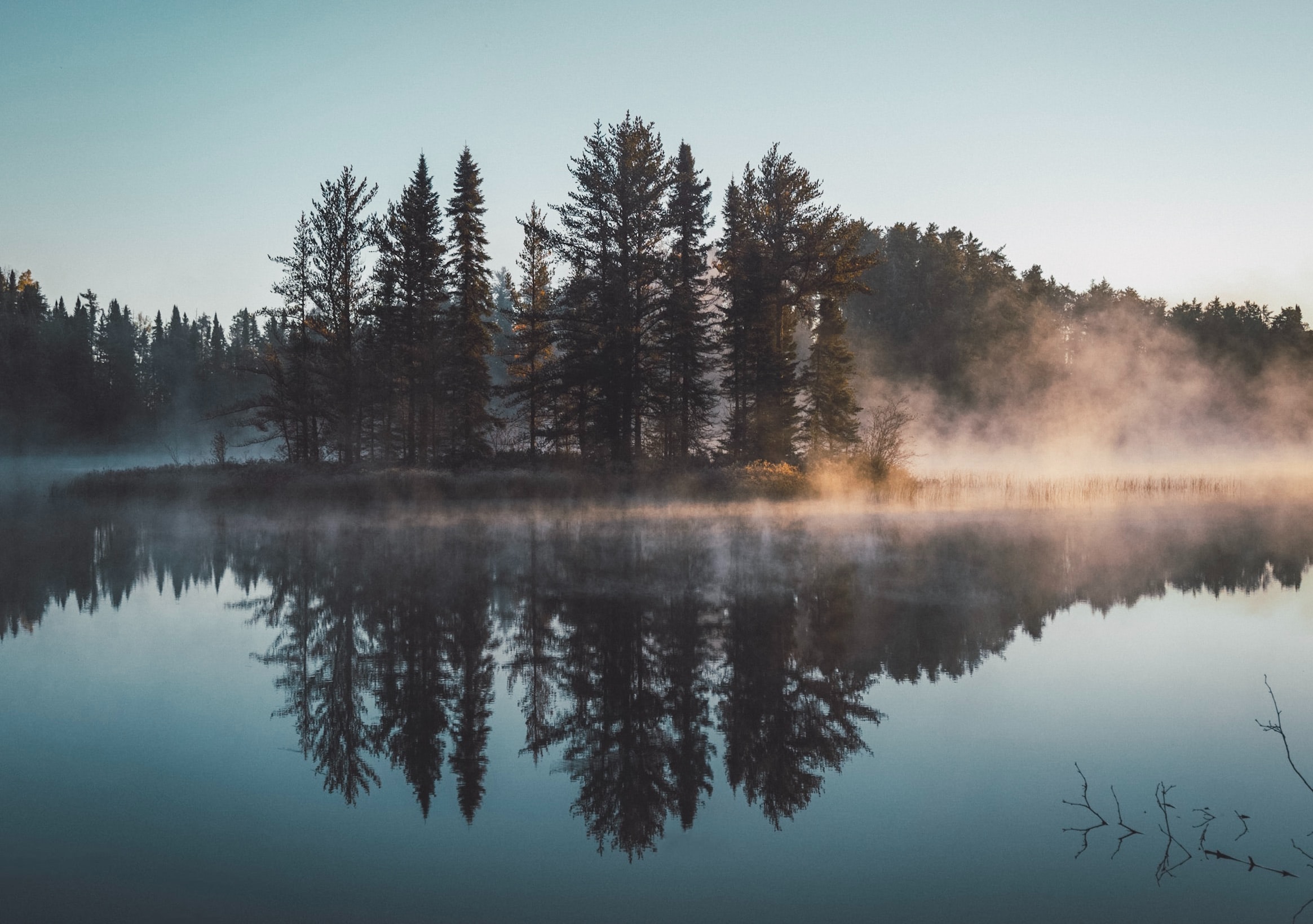 En sø ved en skov en tidlig morgen med tåge omkring træerne